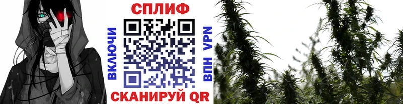 Где купить наркоту Видное КОКАИН  Alpha PVP  Гашиш  МАРИХУАНА  Меф 