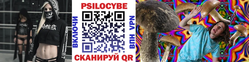 blacksprut вход  Видное  Галлюциногенные грибы Psilocybe 